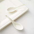 Natural Compostable Spoon from Sugarcane