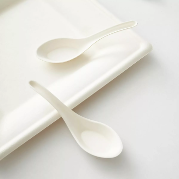 Natural Compostable Spoon from Sugarcane