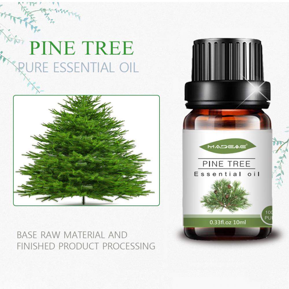 Private Bebele Nature 100%Pure Pine Tree Óleo essencial