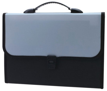 Expanding File Folder