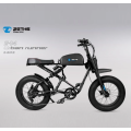 Electric bike with brake levers