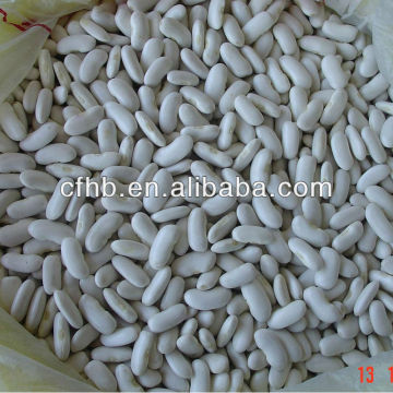 White kidney beans Long Shape