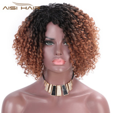 Aisi Hair Afro Kinky Curly Short Wigs Heat Resistant Synthetic Fiber Wigs Deep Curly Wigs for African Americans