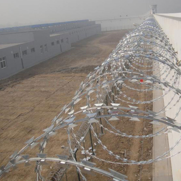 Security fence razor barbed wire