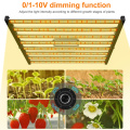 Phlizon pieghevole a LED 640 W Grow Light Quantum