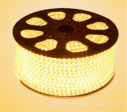 5050 LED Lights AC110V LED Tape Light LED Strip