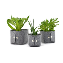 Best-Selling Tree Bags & Felt Pots