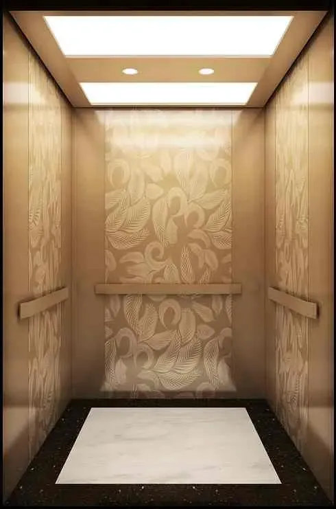 Luxury Cheap Passenger Elevator with High-Speed VVVF for Small Machine Rooms