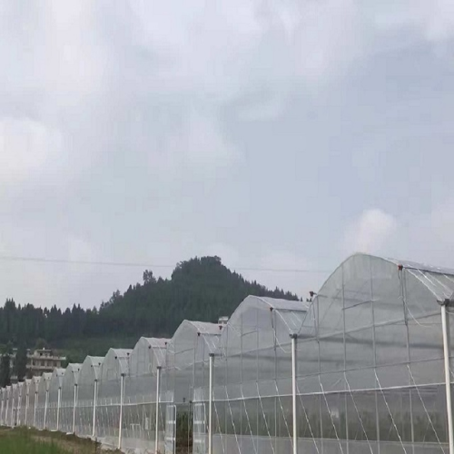 Grande estufa plática para flores vegetais