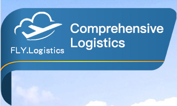 International Logistics Companies Air Freight Freight Forwarder China To USA