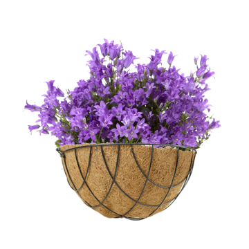 Outdoor Purple Self-Watering Plant Baskets with Coco Coir Liners and Seeds