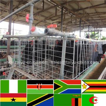 Nairobi warehouse and office poultry farm design layout farm