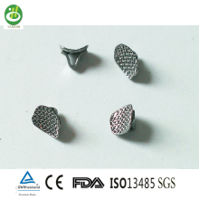 Orthodontic Eyelets Inside Oral Cavity Orthodontic Accessories