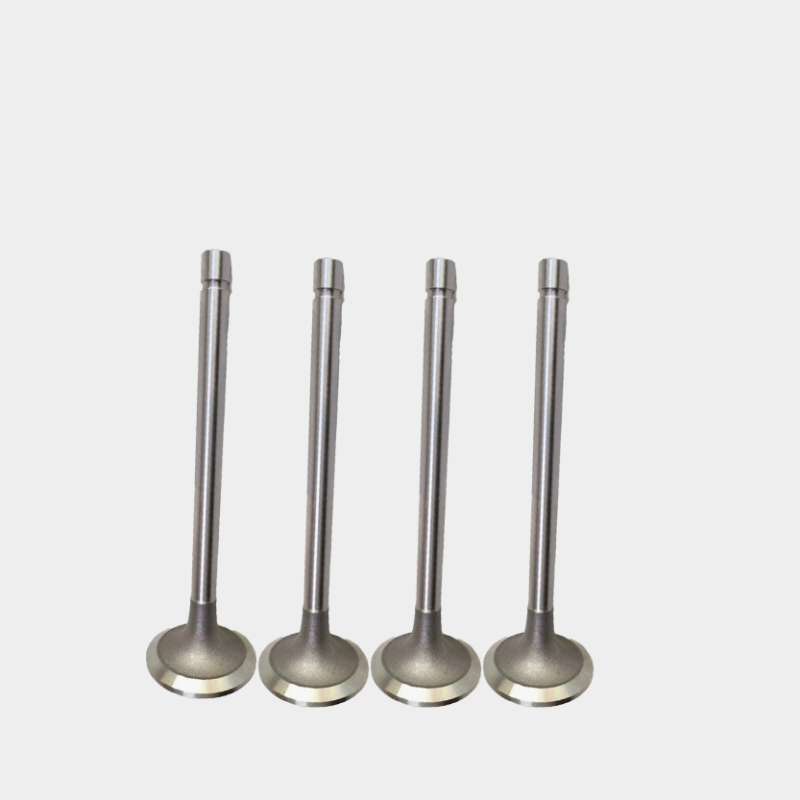 Engine Systems Exhaust Valve
