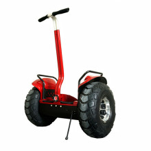 Xinli Escooter Personal Transporter E-Bike