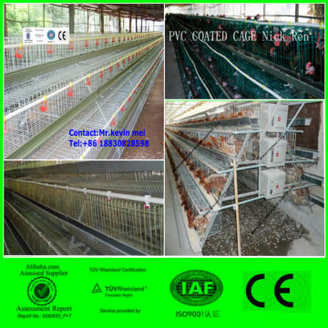 BATTERY CAGES FOR LAYER CHIKEN