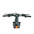 XY-CHAMPION hybrid 29 inch electric bike