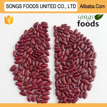 Dry Beans Dark Red Kidney Beans