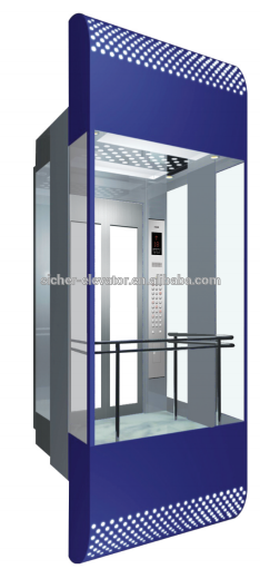 Machine roomless Observation Lift