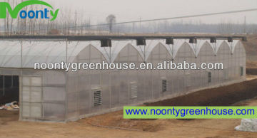 Multi-Span Greenhouse