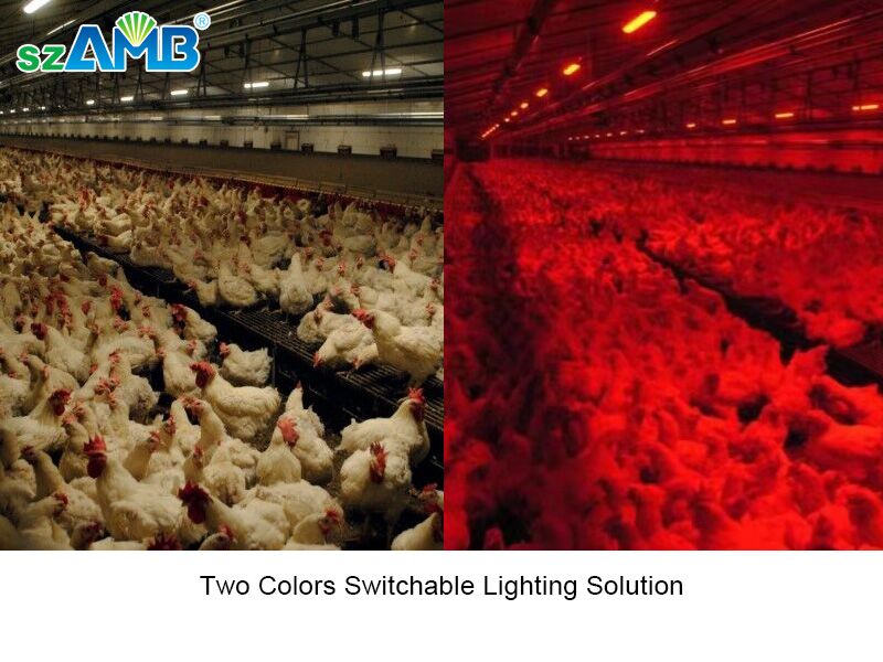 DC48V IP67 2400mm 2x6Watts CCT Switchable T6 Lamps 0-10V Dim Flicker-free