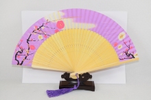 Chineese decorative silk folding hand fan design