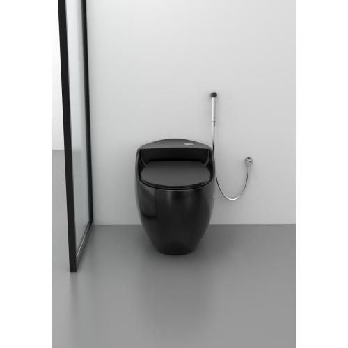 Высококачественный туалет из одного куска в черном цвете