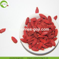 Factory Wholesale Best Quality Top Quality Wolfberries