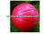 soccer ball, basketball balls, volleyball balls