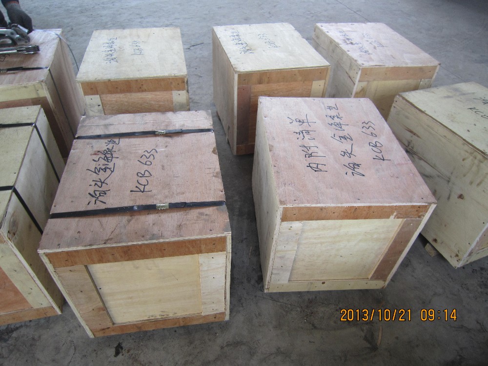 Single-phase 220V portable gear pump
