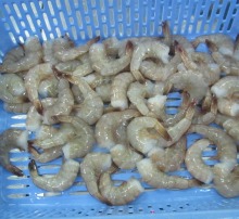 Frozen vannamei shrimp HLSO