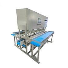 Automatic Mango Peeler Machine - Processes 8 Mangoes at Once