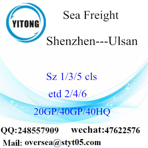 Shenzhen Port Sea Freight Shipping Para Ulsan