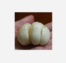 Lilies Pink Lily Four+ Bulb for Best Decoration