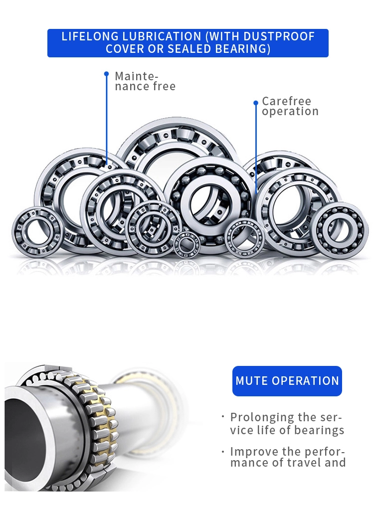 Double Row Roller Bearing