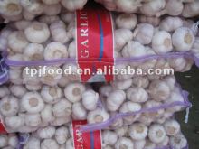 20kg/mesh bage 5.5cm pure white garlic