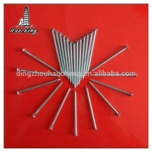 Common headless spiral round iron nail