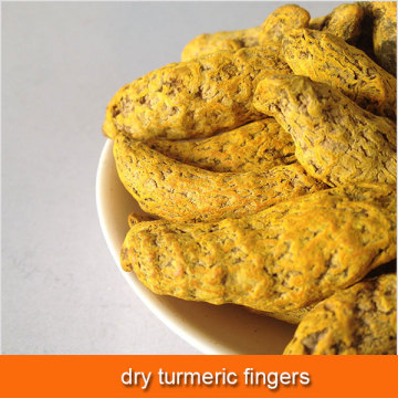 dry turmeric fingers