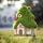 Flocked Fairy Garden House med solbelysning