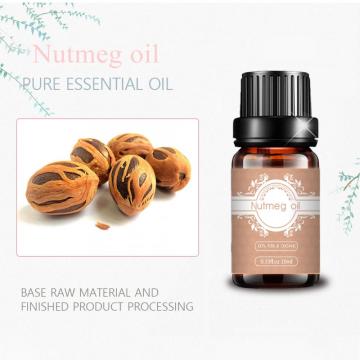 Premium Quality 100%Pure Nutmeg essential oil for body