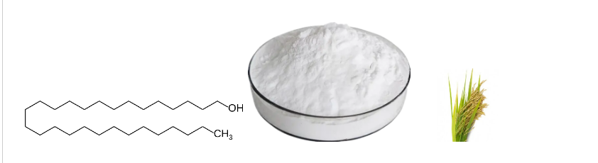 Octacosanol