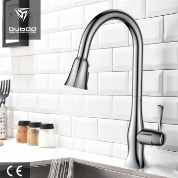 Artifacts Single-Lever Chrome Kitchen Faucet