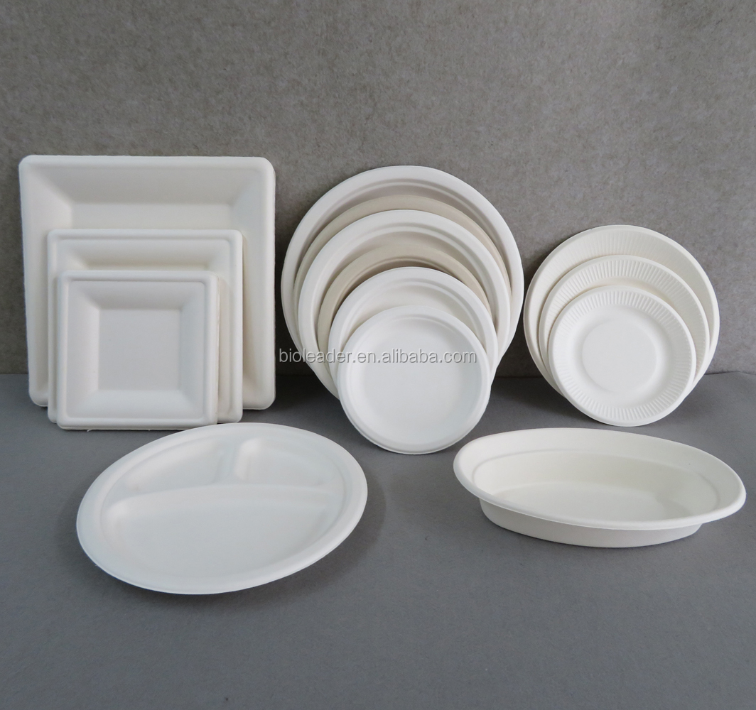 Biodegradable Uncoated Sugarcane Ribbed Paper Plates