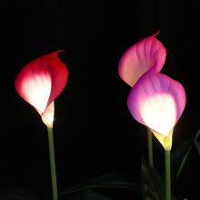 Outdoor Calla Lily Lights