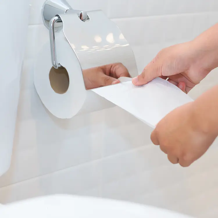 Portable Toilet Paper
