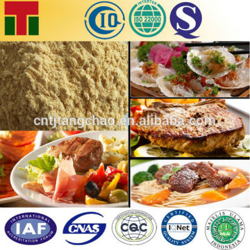 Beef Seasoning Soup Base Powder