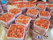 colorful plastic cap nail /plastic cap nail /nail