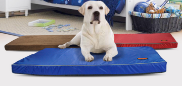 memory foam dog bed