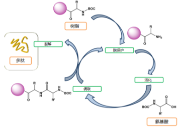 Resins for Solid Phase Synthesis SPMR120