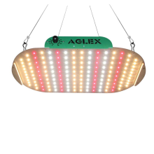 100W QB LED لوحة 3500K زراعة الضوء